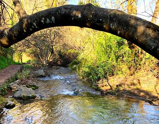 Foto: Fuerte Hoteles