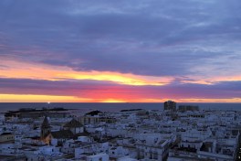 Foto: José Antonio Montes de Oca