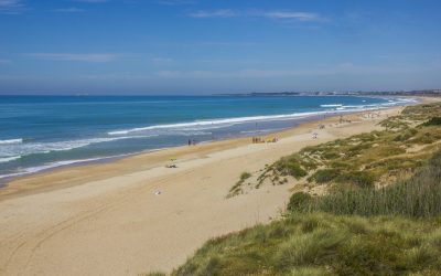 ¡Vamos a la playa!